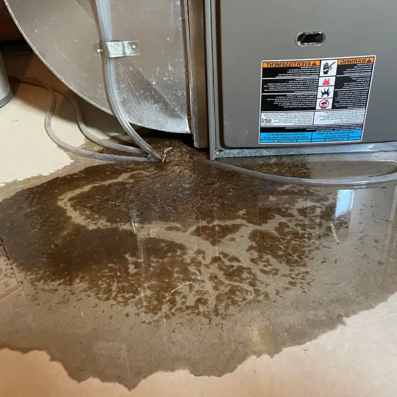 Pipe Burst and Leak Restoration in College, AK